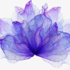 Welcome to The Violet Room